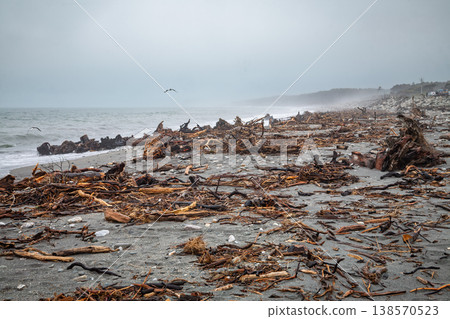 Driftwood strewn beach on New Zealand coast 138570523