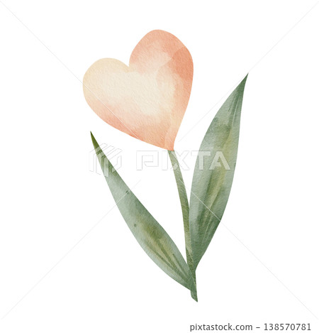 Delicate hand-drawn watercolor flower with peach heart-shaped bloom and green leaves, illustration isolated on white background for romantic botanical designs and Valentine's Day clipart Delicate hand-drawn watercolor flower with peach heart-shaped bloom and green leaves, illustration isolated on white background for romantic botanical designs and Valentine's Day clipart 138570781