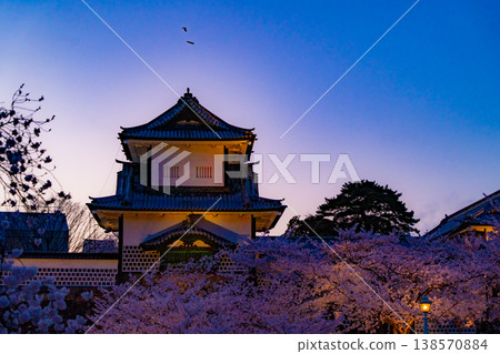 金澤城石川門春景，四周櫻花盛開。 138570884