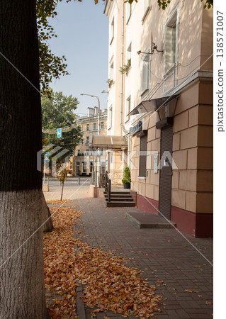 Autumn leaves cover a sidewalk in a city street during daylight Autumn leaves cover a sidewalk in a city street during daylight 138571007