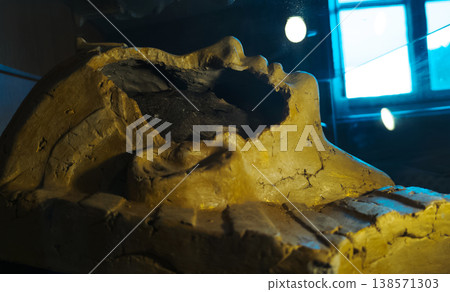 Ancient egyptian pharaoh mask or mummy head exhibit in a museum, featuring a broken face detail with visible inner layers, golden textures, and dramatic lighting. Ancient egyptian pharaoh mask or mummy head exhibit in a museum, featuring a broken face detail with visible inner layers, golden textures, and dramatic lighting. 138571303