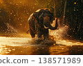 Elephant splashing in jungle creek, natural warm light and shadows 138571989