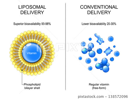 Liposomes for drug delivery. Comparison of conventional free form vitamin and vitamin in phospholipid bilayer shell. 138572096