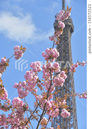 Cherry blossoms and the Eiffel Tower from Trocadéro Square, Paris, March 30, 2026 138572523