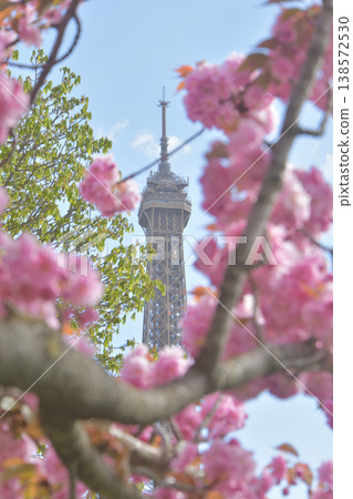 Cherry blossoms and the Eiffel Tower from Trocadéro Square, Paris, March 30, 2026 138572530