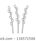 Set of pussy willow branches. Spring easter plants in hand drawn doodle line style. Palm Sunday. Isolated vector illustration. 138572588