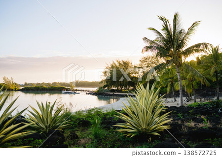 Tropical coastal plant in Mauritius. Tropical coastal plant in Mauritius. 138572725
