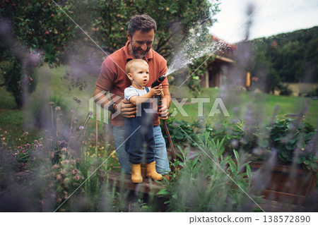 Little daughter helping dad in garden, watering plants with hose. Little daughter helping dad in garden, watering plants with hose. 138572890