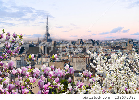 skyline of Paris with eiffel tower 138573383