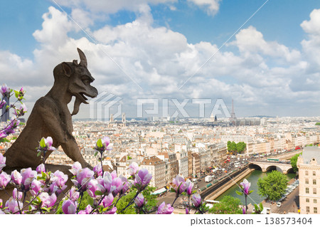 Gargoyle of Paris 138573404