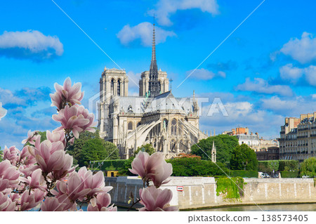 Notre Dame cathedral, Paris France 138573405