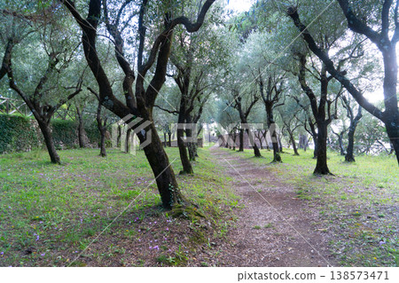 Serene natural scene, Tranquil countryside with blooming flowers and sunlight, Stillness of early dawn over lush greenery and blooming plants creates calming atmosphere Serene natural scene, Tranquil countryside with blooming flowers and sunlight, Stillness of early dawn over lush greenery and blooming plants creates calming atmosphere 138573471