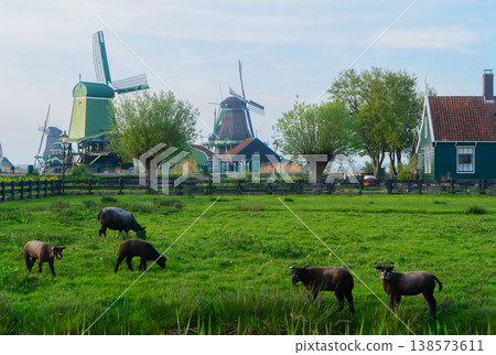 skyline of old town Zaanse Schans 138573611
