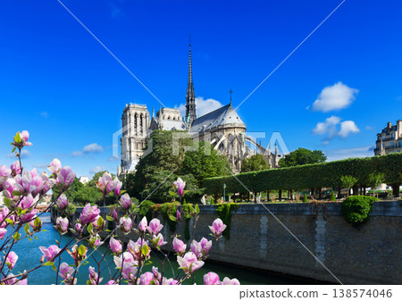 Notre Dame cathedral, Paris France Notre Dame cathedral, Paris France 138574046