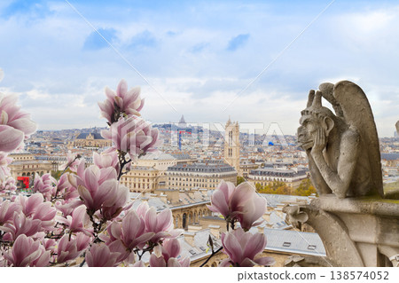 Gargoyle on Notre Dame Cathedral, France 138574052