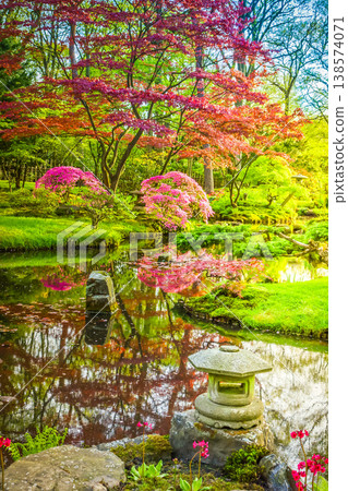 Japanese garden Japanese garden 138574071