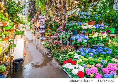 Paris flower market 138574090