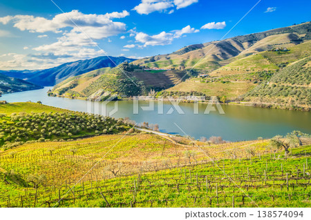 Douro wine valley 138574094