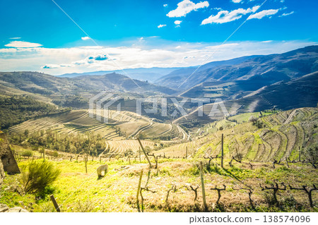 Douro wine valley 138574096