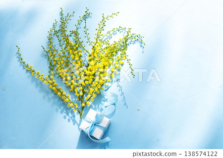 Mimosa flowers on blue background 138574122
