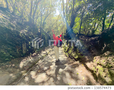 Isolated traveler navigates through glowing forest with reflective mood. Lone adventurer moves along sunlit woodland track holding sacred book in contemplative silence Isolated traveler navigates through glowing forest with reflective mood. Lone adventurer moves along sunlit woodland track holding sacred book in contemplative silence 138574473
