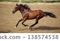Horse racing 138574538