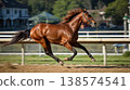 Horse racing, racehorses, thoroughbreds 138574541