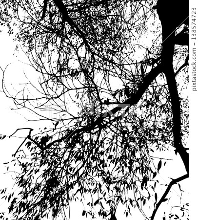 Silhouette of willow tree branch. Not AI, vector illustration. 138574723
