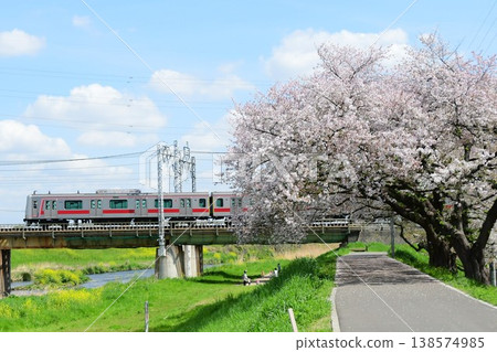 東急5050系列車與東武東上線上的櫻花 138574985