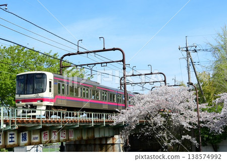 Keio 8000 series 8733F and cherry blossoms 138574992