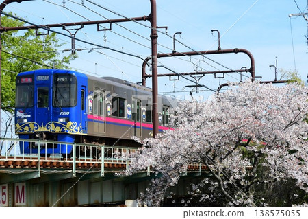 改造後的京王9000系列9731F：Sanriorappingu火車和櫻花 138575055
