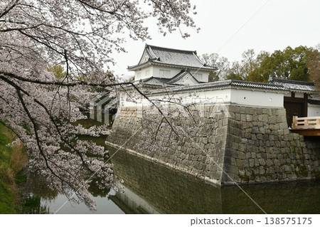 Mizuguchi Castle in full bloom with cherry blossoms Mizuguchi Castle in full bloom with cherry blossoms 138575175