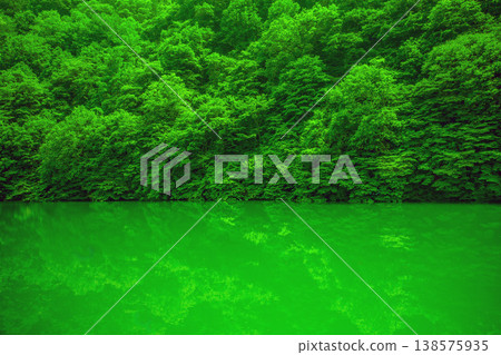 翡翠湖畔 138575935