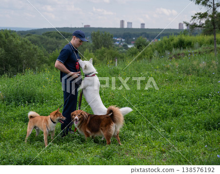 A Caucasian man walks with three dogs. Dog walker. A Caucasian man walks with three dogs. Dog walker. 138576192