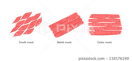 Cells structure sketch 138576299