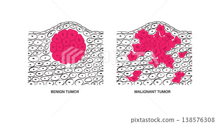 Cells structure sketch Cells structure sketch 138576308