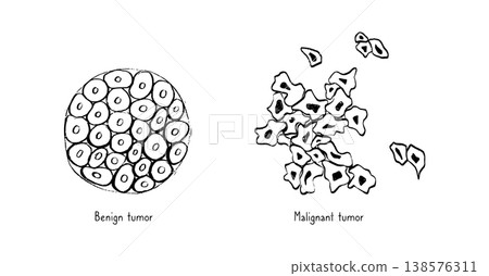 Cells structure sketch 138576311
