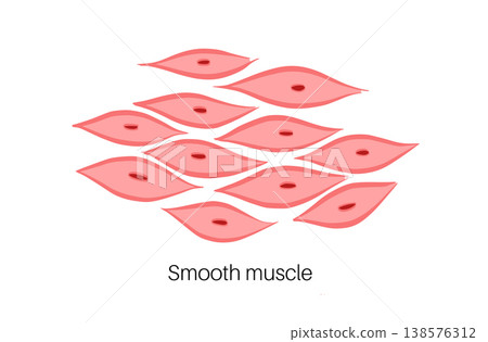 Cells structure sketch 138576312