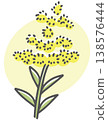 Ragweed - Simple plant illustration 138576444