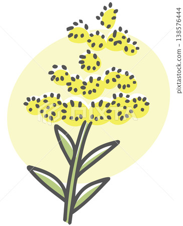 Ragweed - Simple plant illustration 138576444