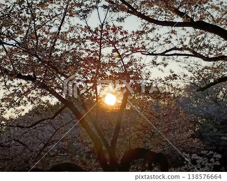 光芒散去,新的一天開始了 光芒散去,新的一天開始了 138576664