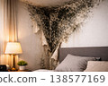 Severe black mold growth on bedroom wall with peeling wallpaper 138577169