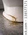 Broken toilet base with water leak on bathroom floor 138577171