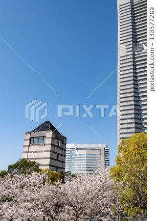 櫻花盛開的景色和建築物交相輝映。 櫻花盛開的景色和建築物交相輝映。 138577289