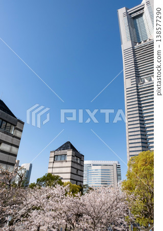 櫻花盛開的景色和建築物交相輝映。 138577290
