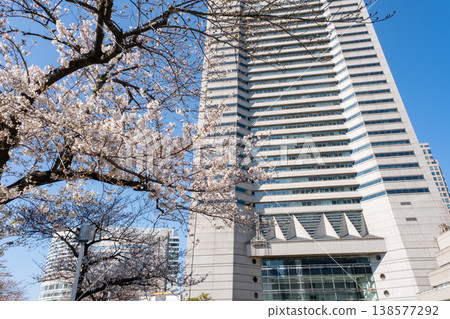櫻花盛開的景色和建築物交相輝映。 櫻花盛開的景色和建築物交相輝映。 138577292
