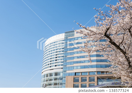 櫻花盛開的景色和建築物交相輝映。 櫻花盛開的景色和建築物交相輝映。 138577324