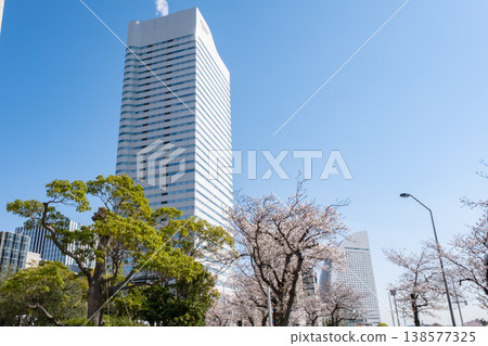 櫻花盛開的景色和建築物交相輝映。 138577325