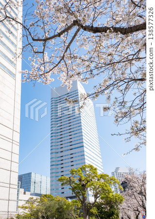 櫻花盛開的景色和建築物交相輝映。 櫻花盛開的景色和建築物交相輝映。 138577326