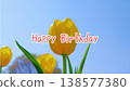 [Spring] Yellow tulips [Happy Birthday] Center 138577380